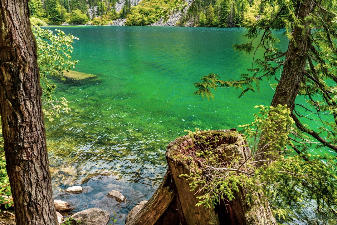 Nature reserve photo spot Lindeman Lake Chilliwack Lake Provincial Park