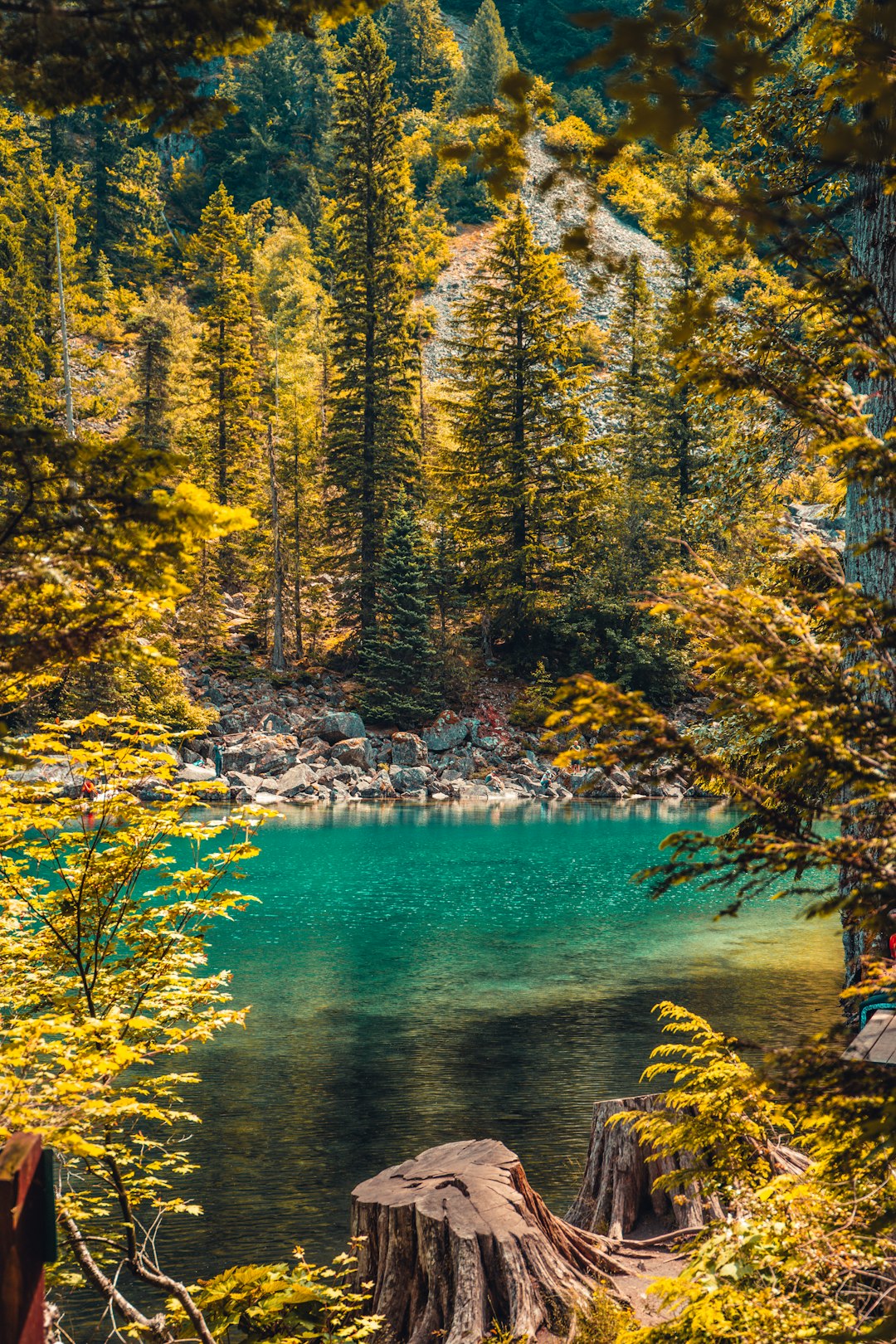 Lake photo spot Lindeman Lake Chilliwack Lake Provincial Park