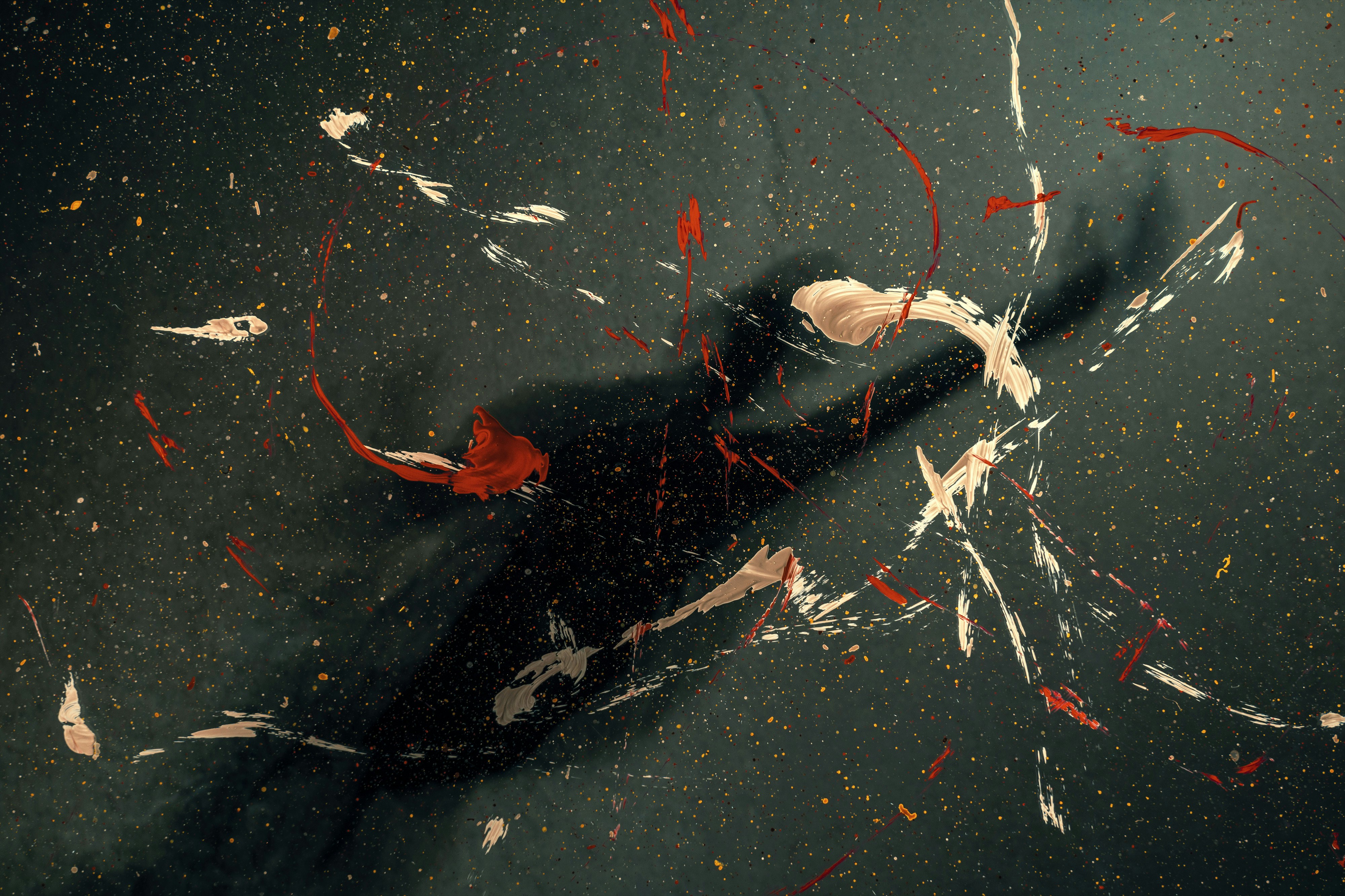 white and red petals on black surface