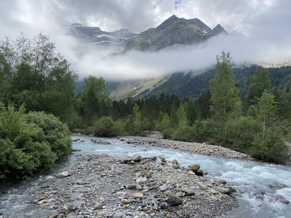 green trees near river under white clouds during daytime