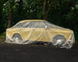 A vintage car is covered with a translucent plastic tarp, parked on a dark asphalt surface. The car is surrounded by lush green foliage in a natural setting, suggesting an outdoor environment.