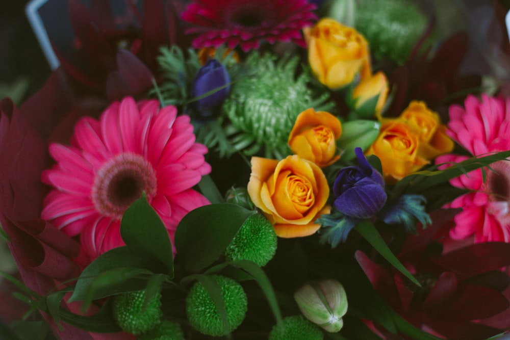 yellow and red flowers in bloom