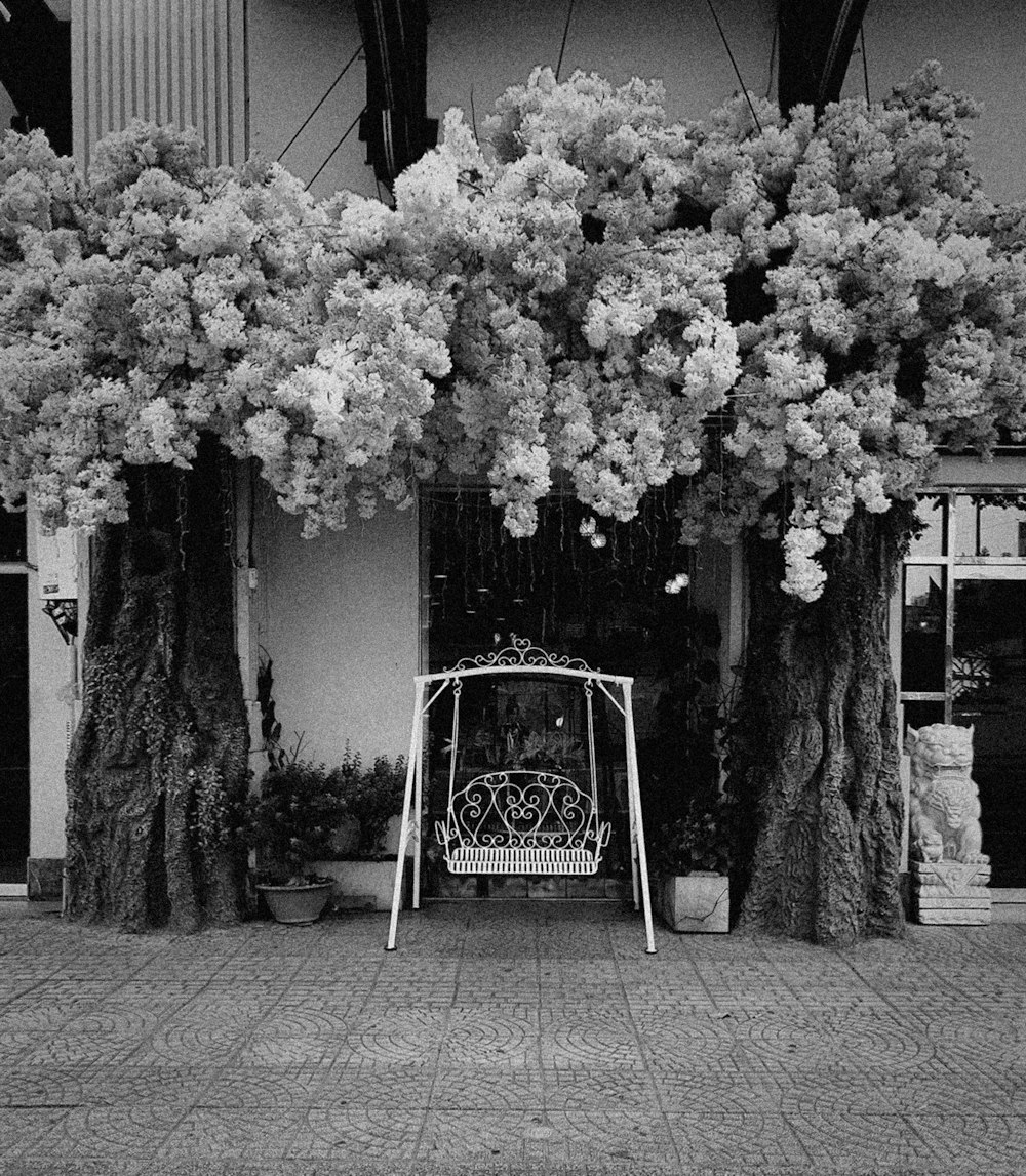 grayscale photo of flowers on tree