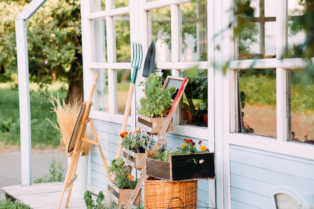 green plants on brown woven basket