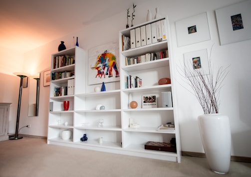 white wooden shelf with books