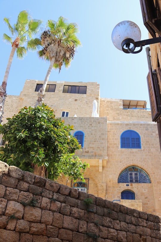 green tree beside brown concrete building during daytime in Fountain "Zodiac Signs" Israel