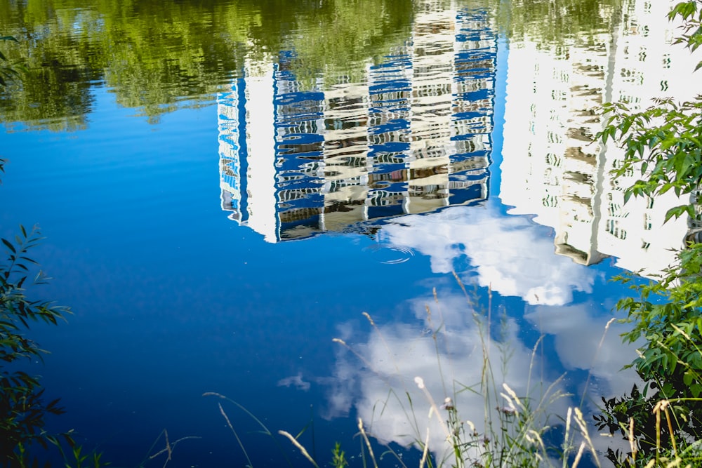 white and blue high rise building beside body of water