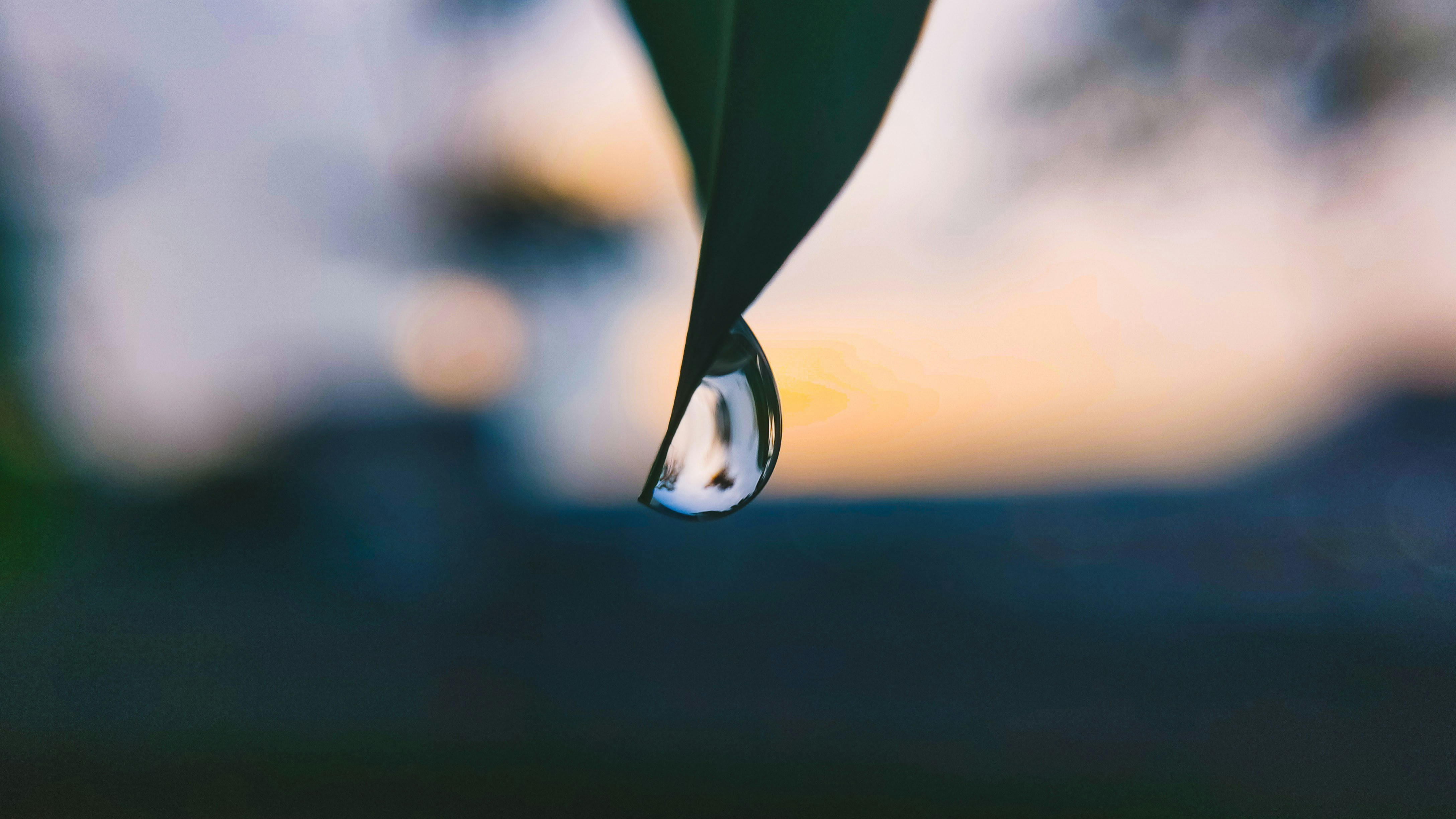 Photo by createpixels