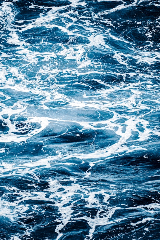 blue body of water during daytime in Shelly Beach Australia