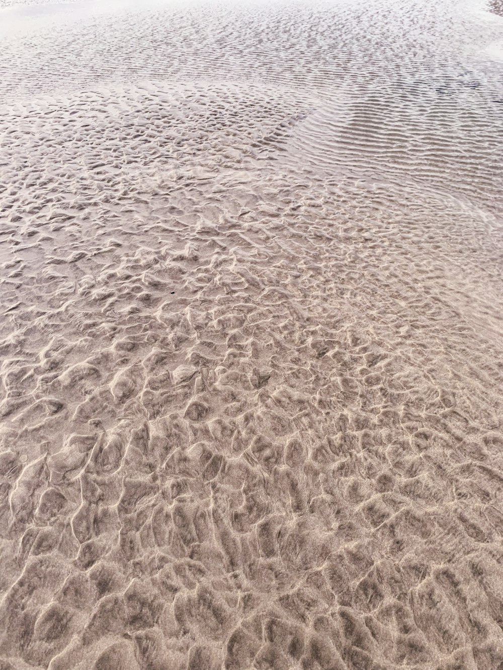 brown sand during day time