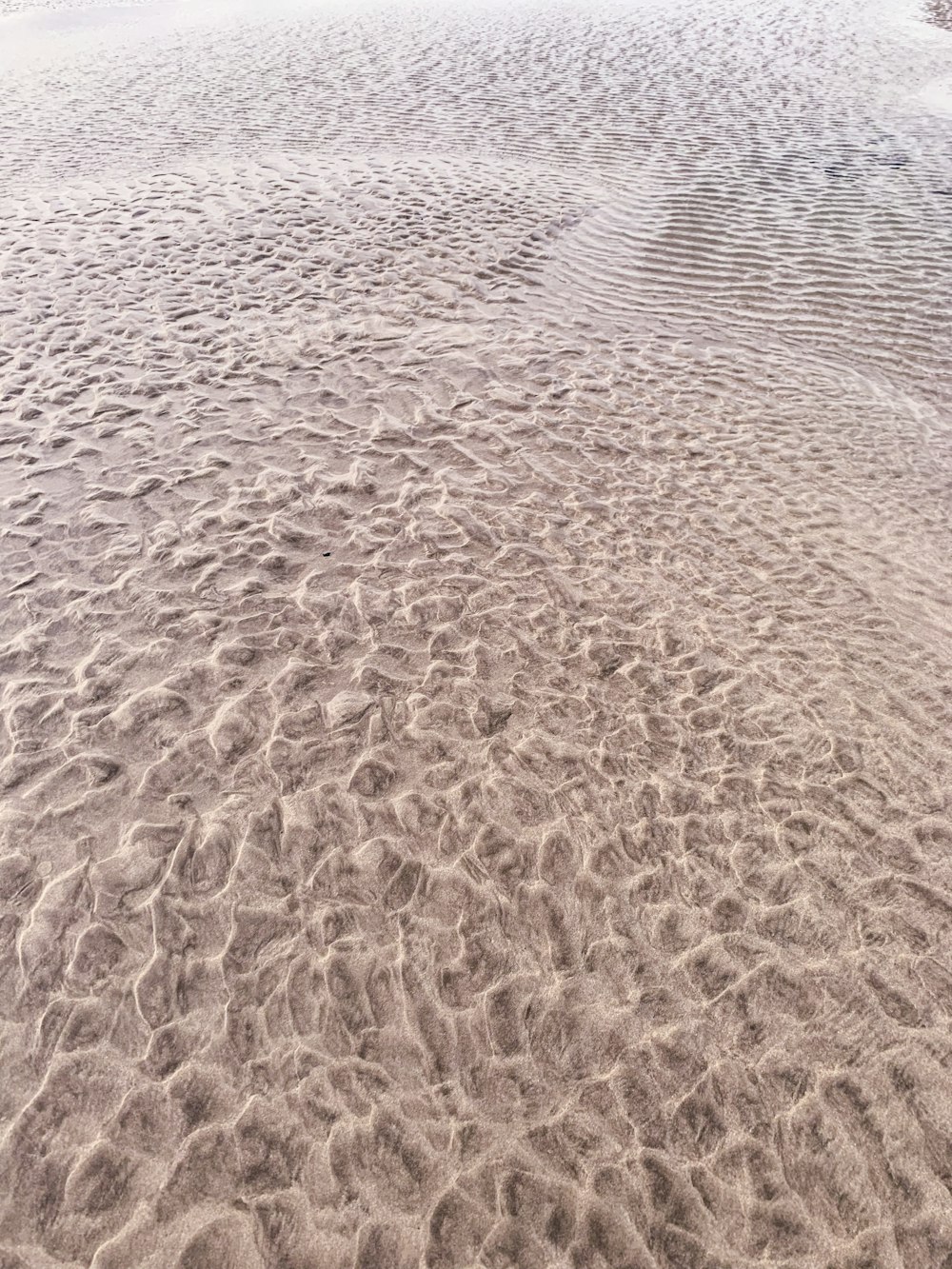 日中の茶色の砂浜