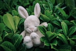 A soft, plush white rabbit toy is nestled among lush green leaves. The toy has its eyes closed and appears to be peacefully resting. The leaves surrounding the rabbit are vibrant, creating a strong contrast between the soft texture of the toy and the smooth surfaces of the foliage.