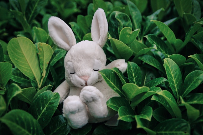 A soft, plush white rabbit toy is nestled among lush green leaves. The toy has its eyes closed and appears to be peacefully resting. The leaves surrounding the rabbit are vibrant, creating a strong contrast between the soft texture of the toy and the smooth surfaces of the foliage.