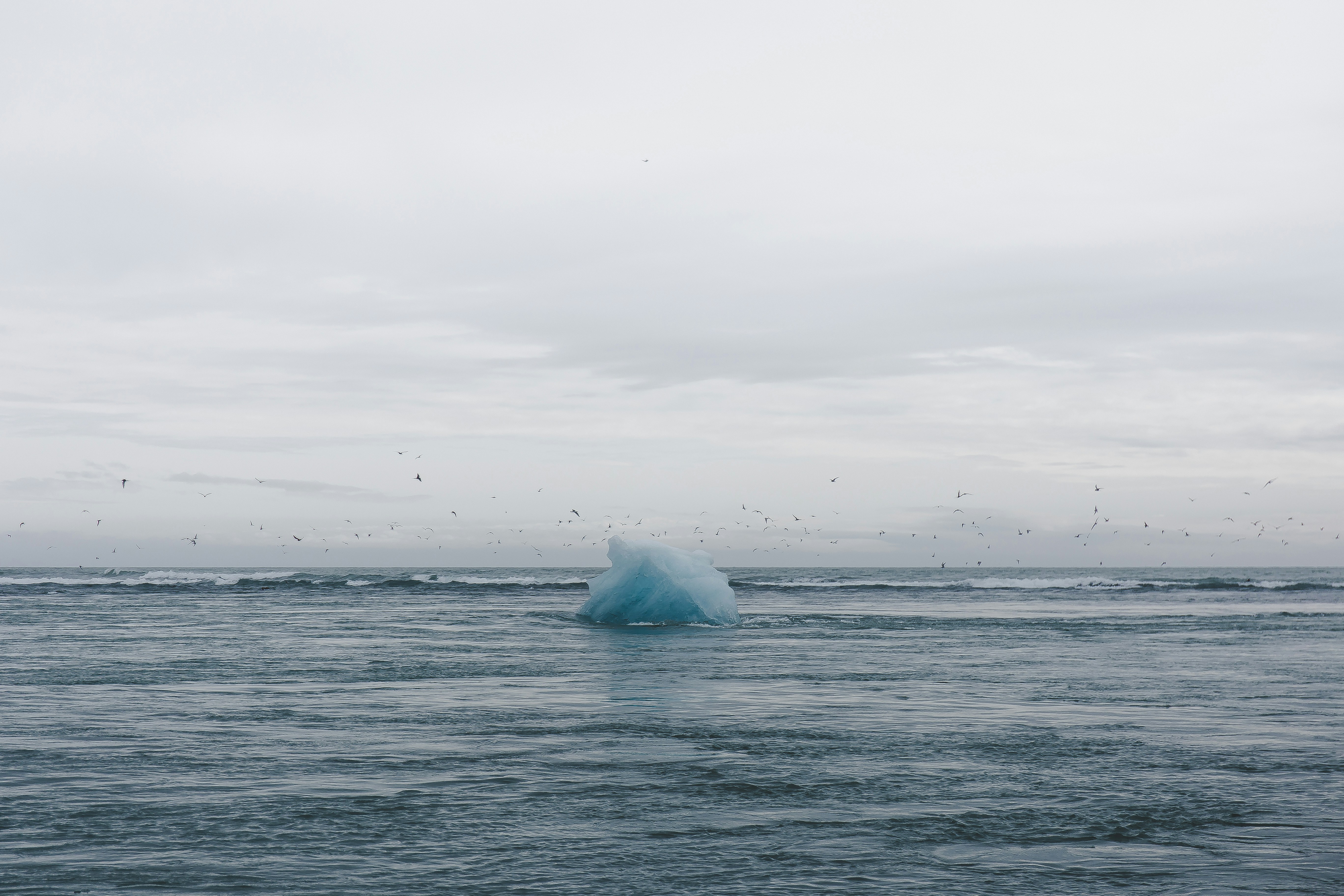 Photo by sharadkandoi