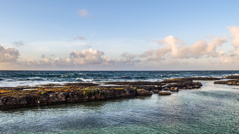 brown rocky shore under blue sky during daytime