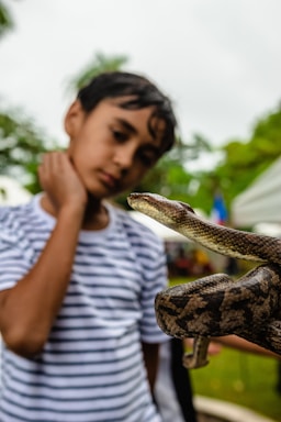 A young person in a striped shirt stands in the background, focusing on a snake in the foreground. The snake is brown with darker patterns and appears to be calmly resting in someone’s hand. The background is blurry, showing hints of trees and possibly a tent, suggesting an outdoor setting.