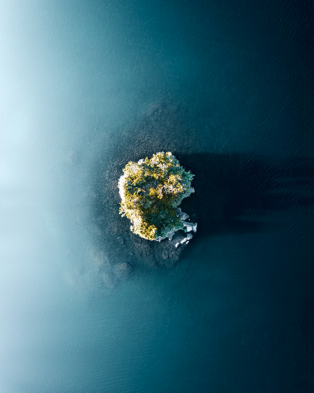 green and brown island in the middle of blue sea