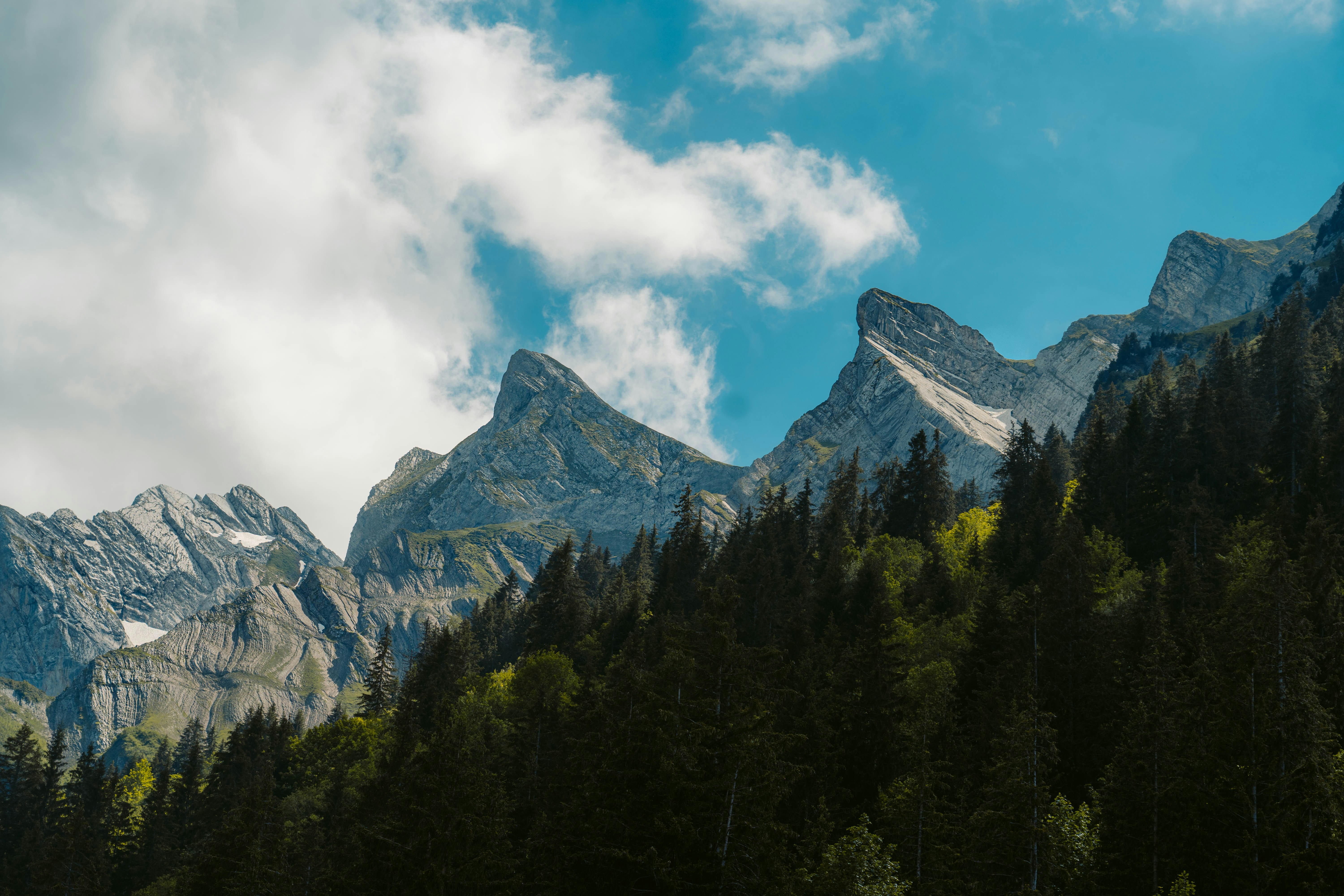 green trees near mountain under blue sky during daytime