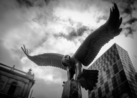 A black and white photograph capturing a large eagle statue with wings spread wide. The eagle is perched atop a pedestal, and its positioning against a backdrop of dramatic clouds adds to the grandeur. In the background, there is a contrast between a classical stone building with ornate architectural details and a modern glass skyscraper.