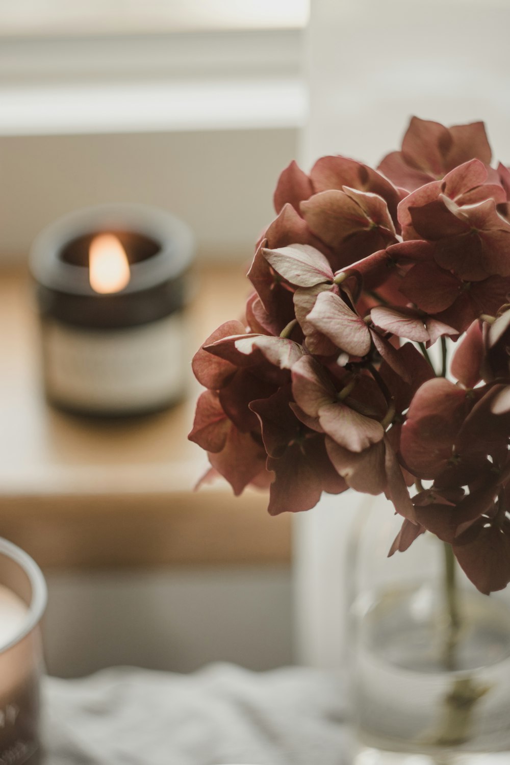 a vase filled with flowers next to a candle