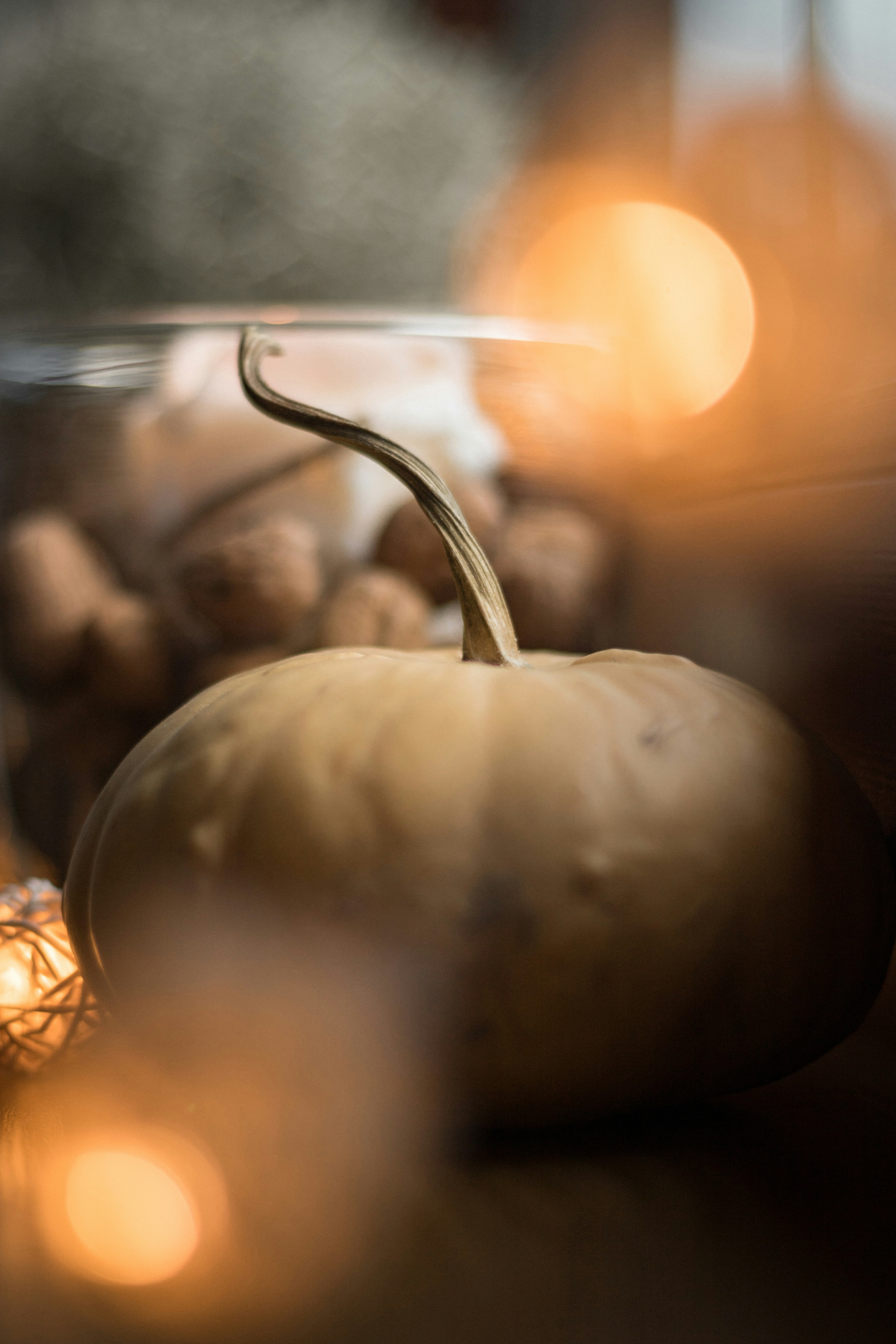 Photo by kekse_und_ich