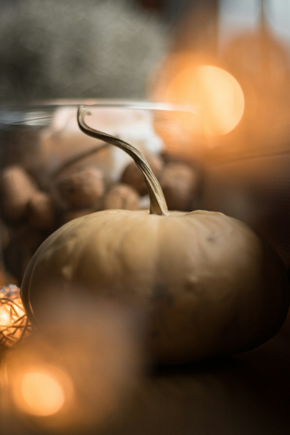 white apple fruit with light