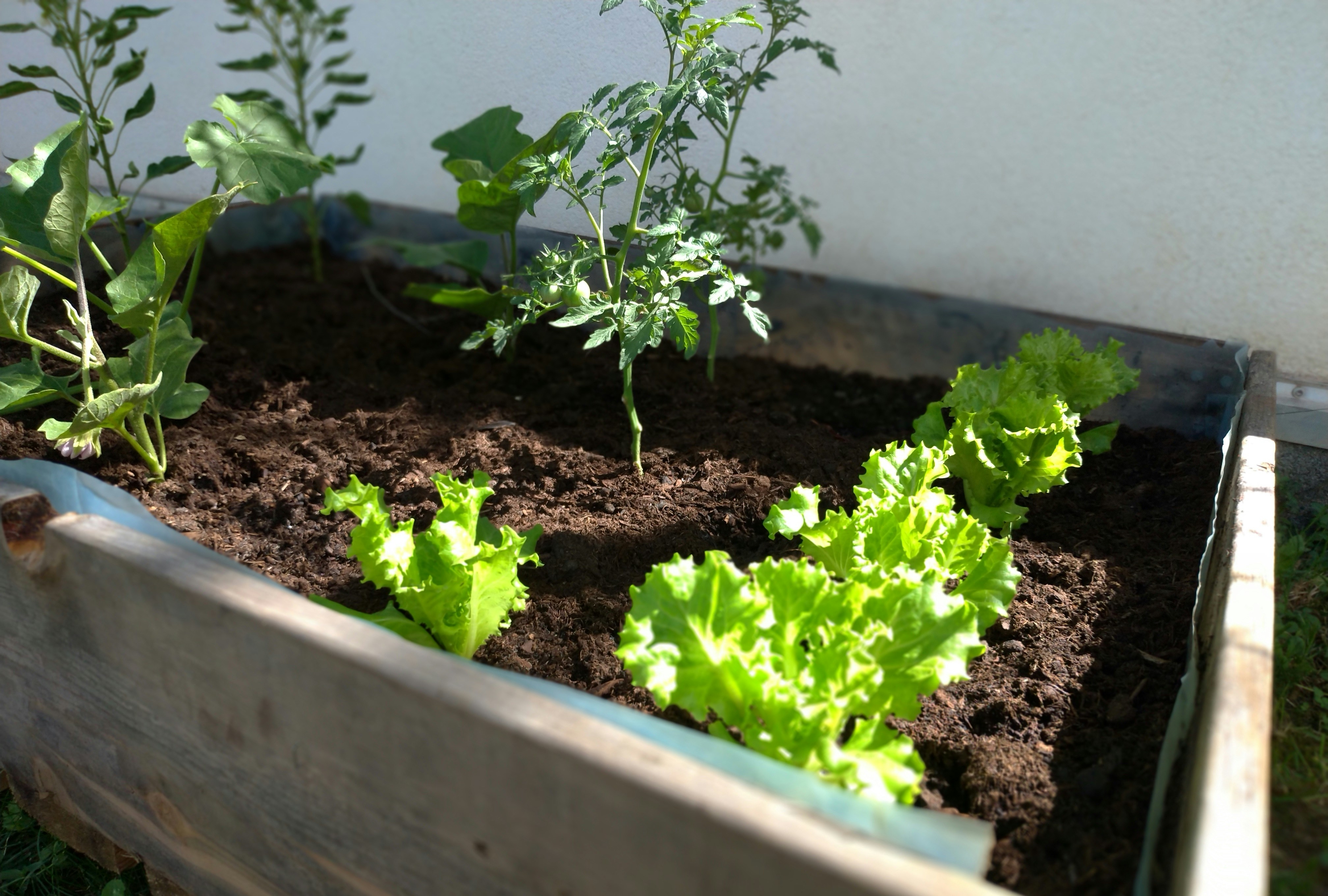 photo 1594633834252 18f92511bd9c?ixlib=rb 4.0