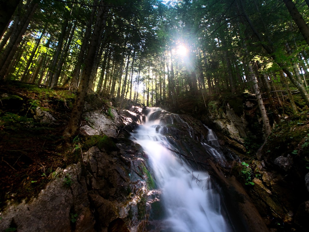 water falls in the middle of the forest