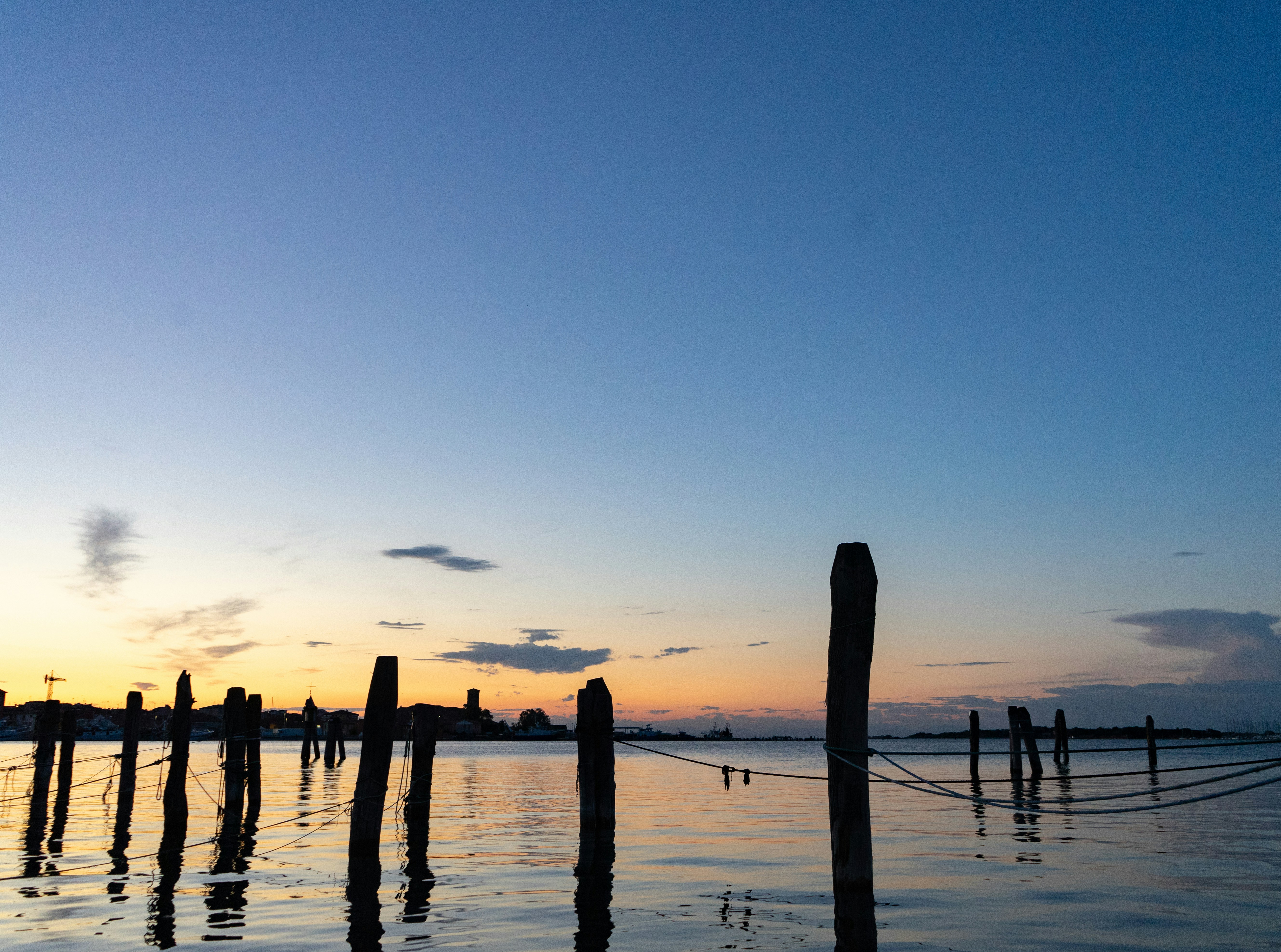 Photo by gritsngiggles