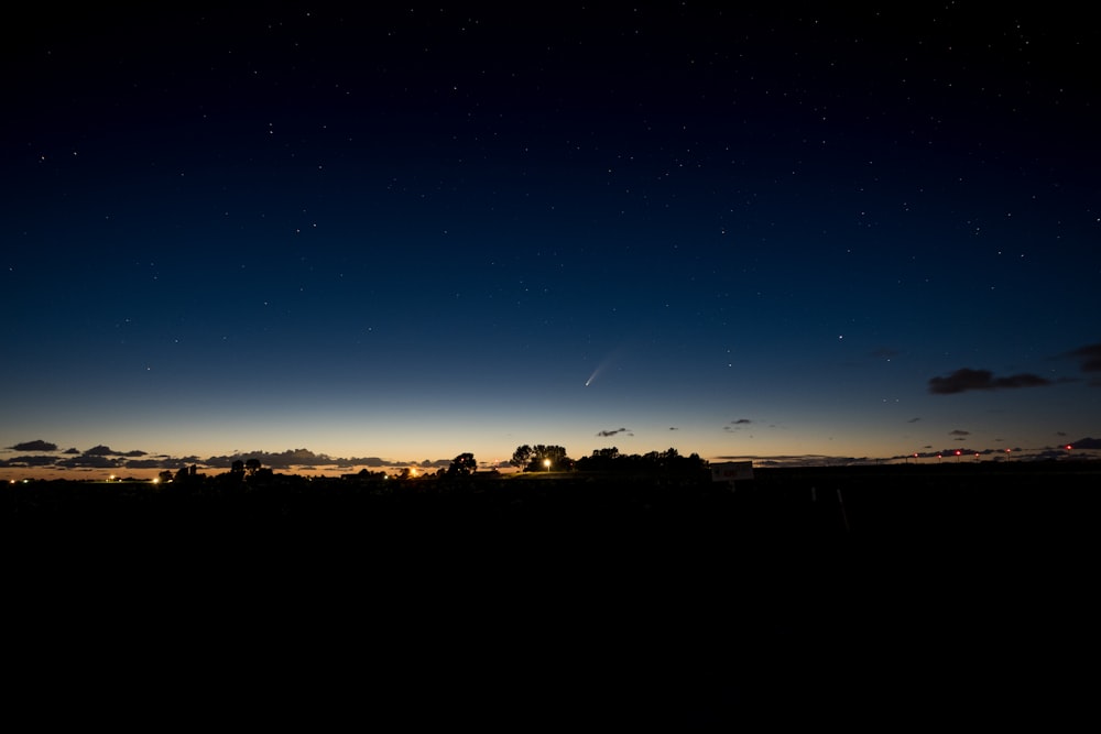 silhouette di alberi durante la notte