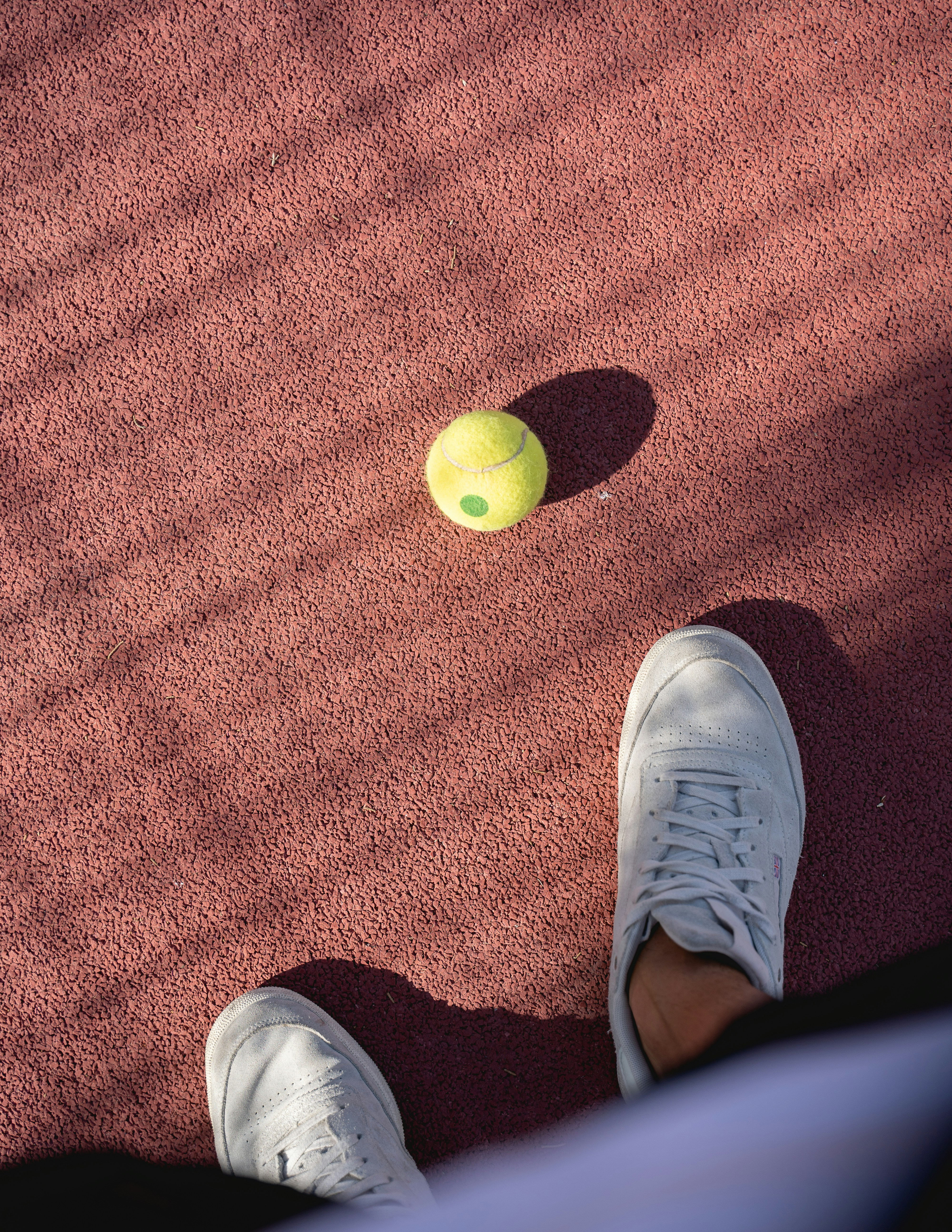 person wearing white lace up shoes