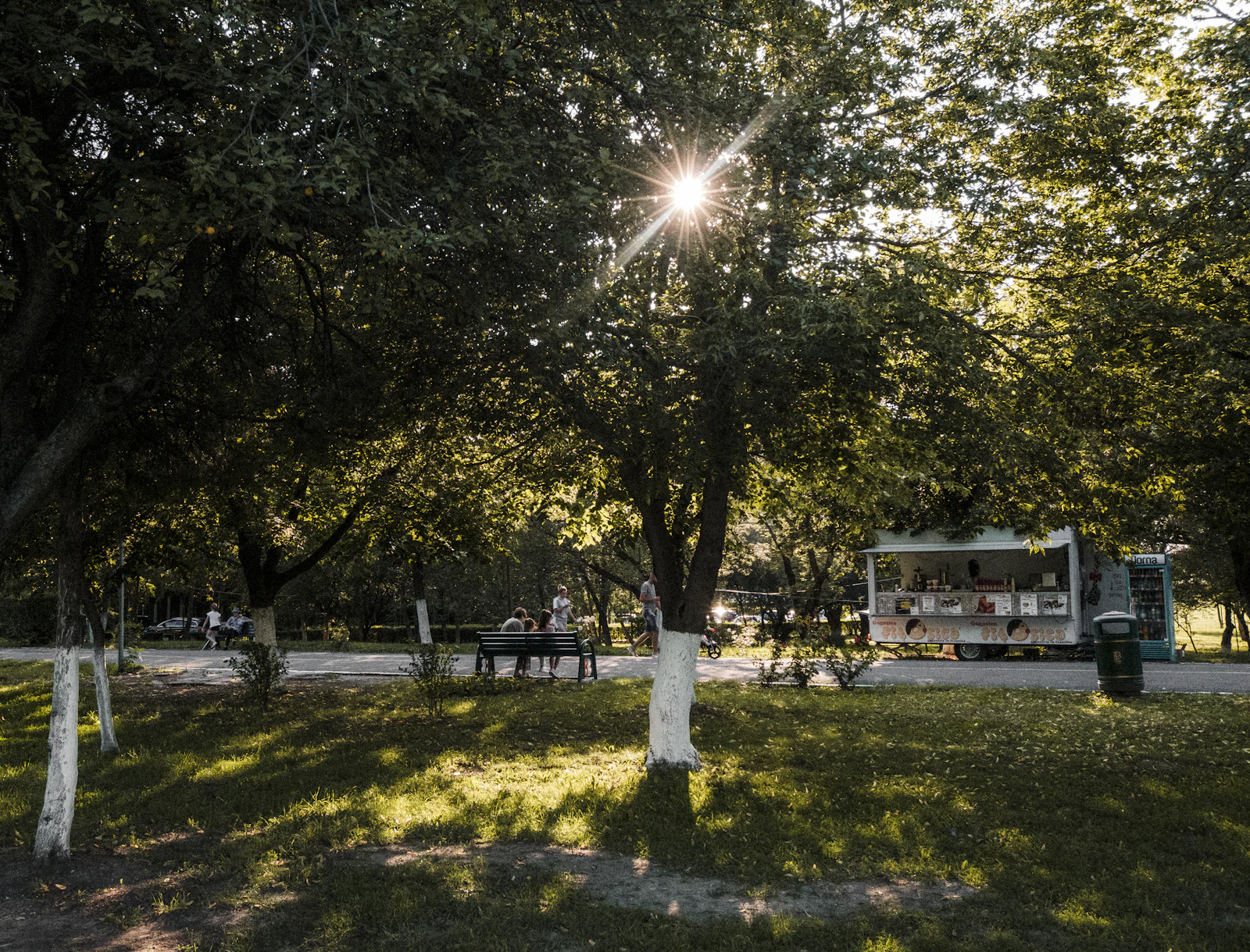 Cazare în Buzău: parc cu copaci bătrâni, seara