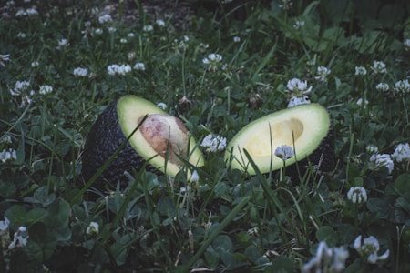 A halved avocado is resting on a bed of green grass dotted with small white flowers. The dark outer skin contrasts with the bright green flesh and large brown seed. The setting appears natural and rustic, creating an earthy atmosphere.