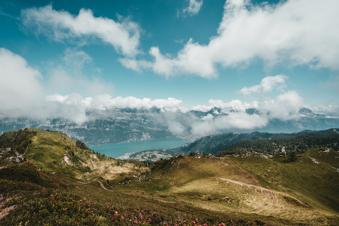 green and brown mountains under blue sky and white clouds during daytime