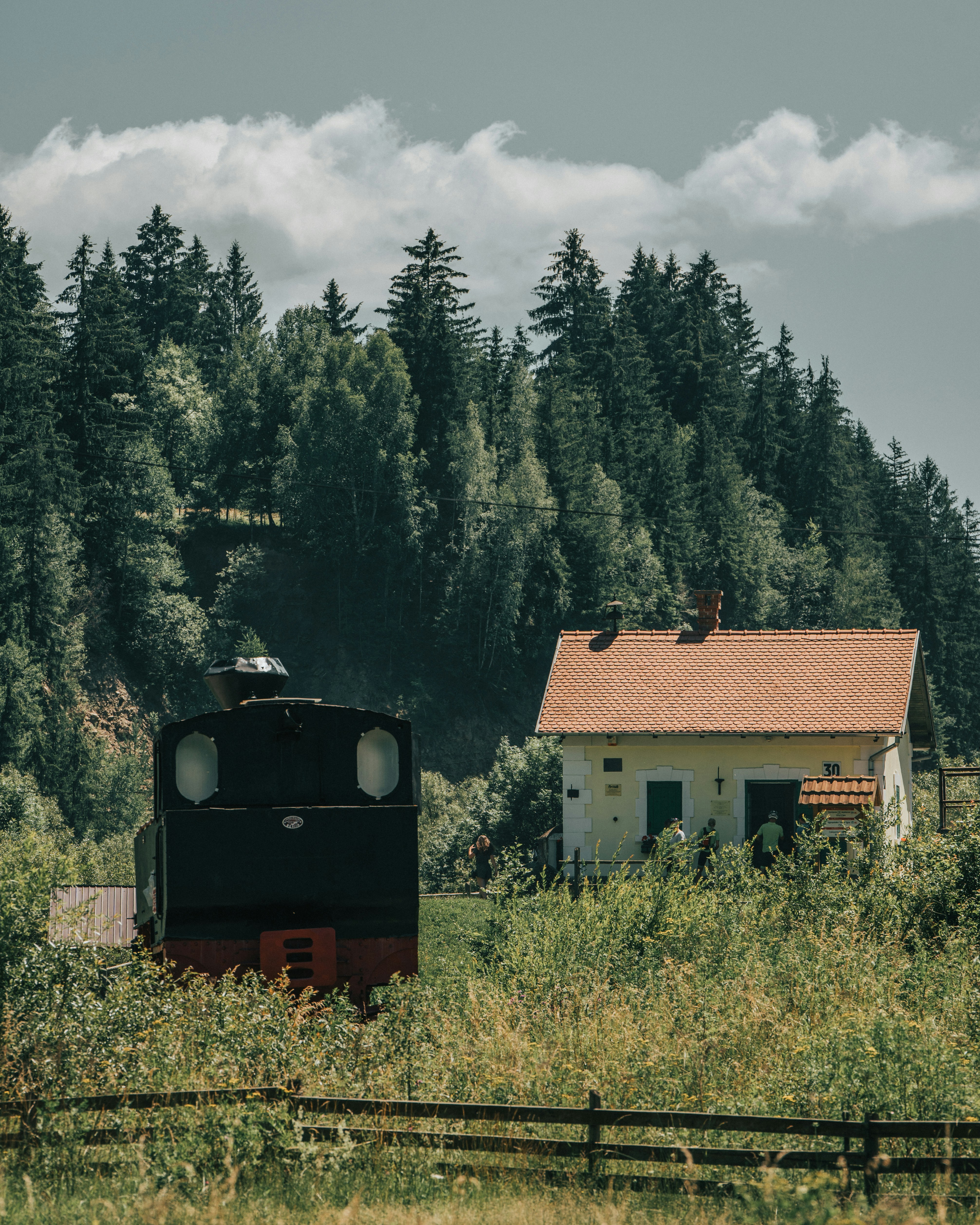 Photo by tamas_tuzeskatai