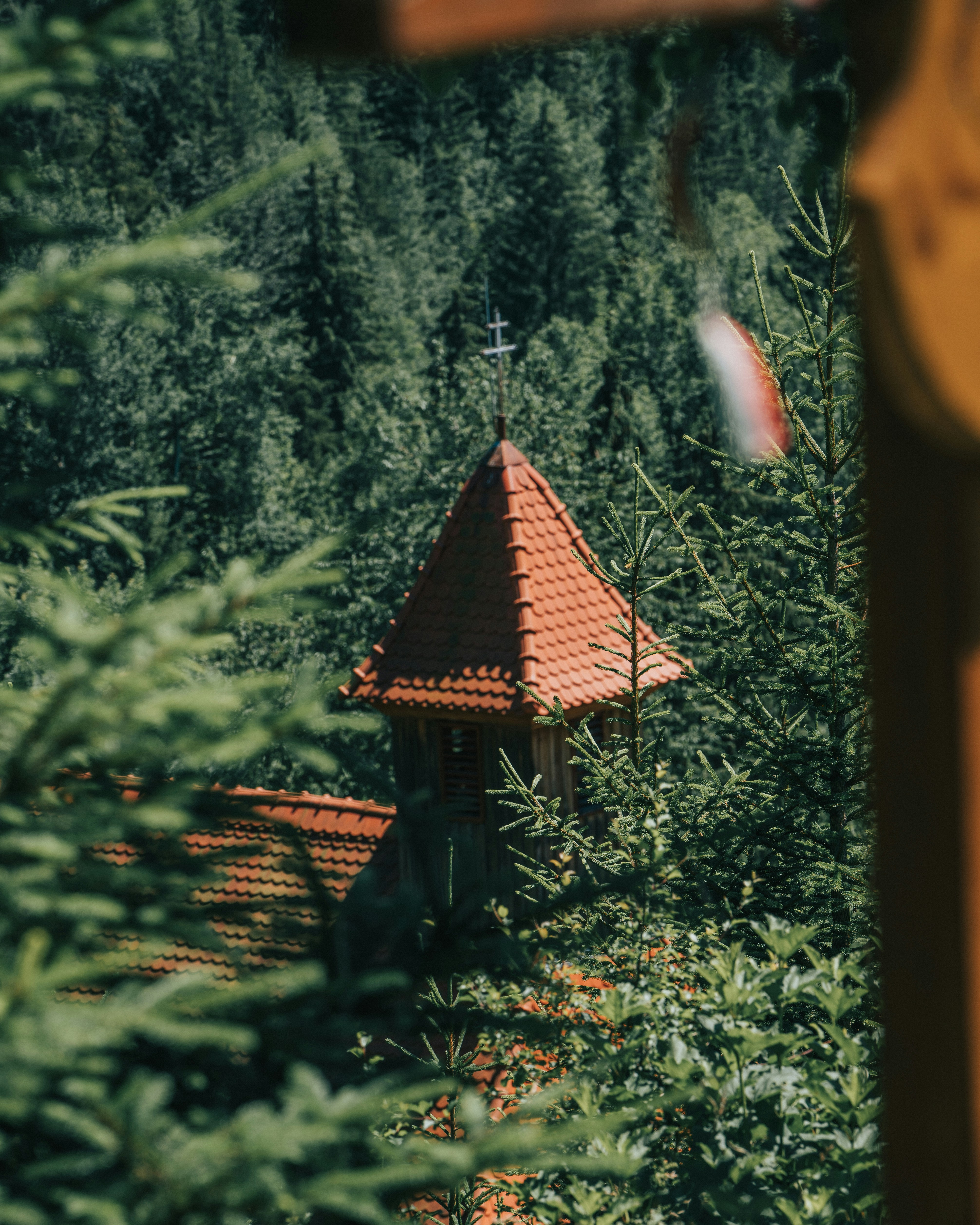 Photo by tamas_tuzeskatai