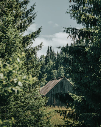 Cozy mountain cabin surrounded by lush green forest.