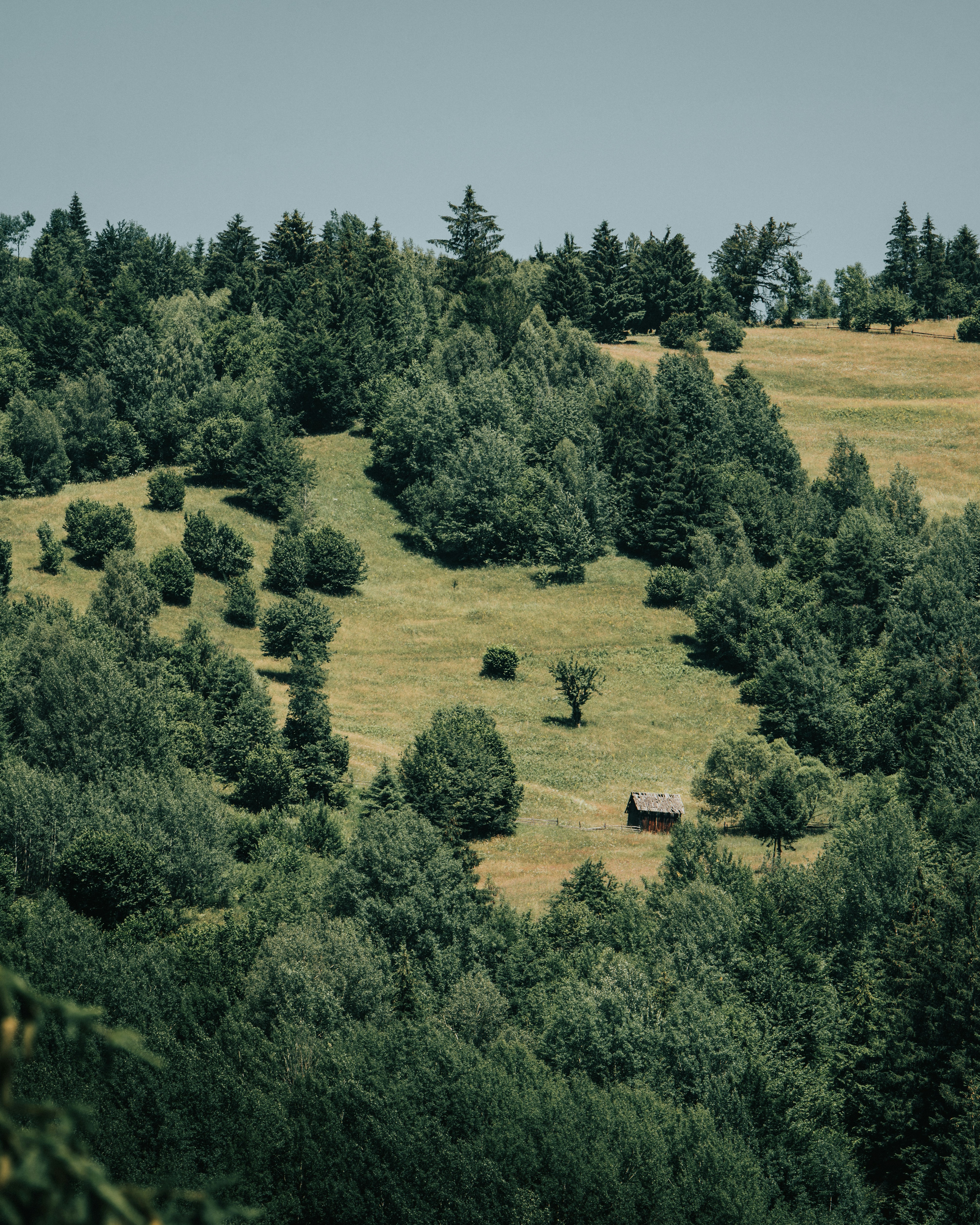 Photo by tamas_tuzeskatai