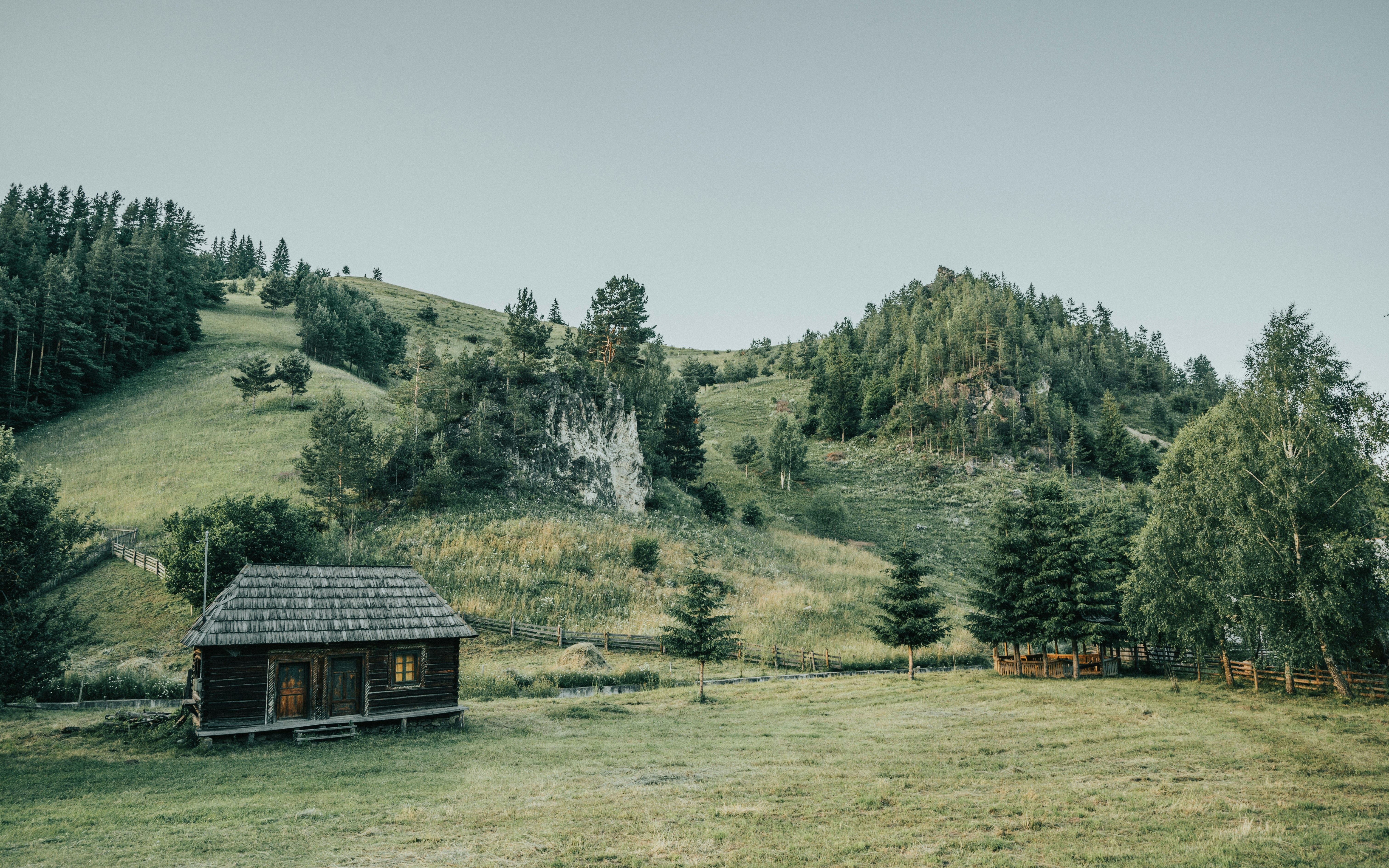 Photo by tamas_tuzeskatai