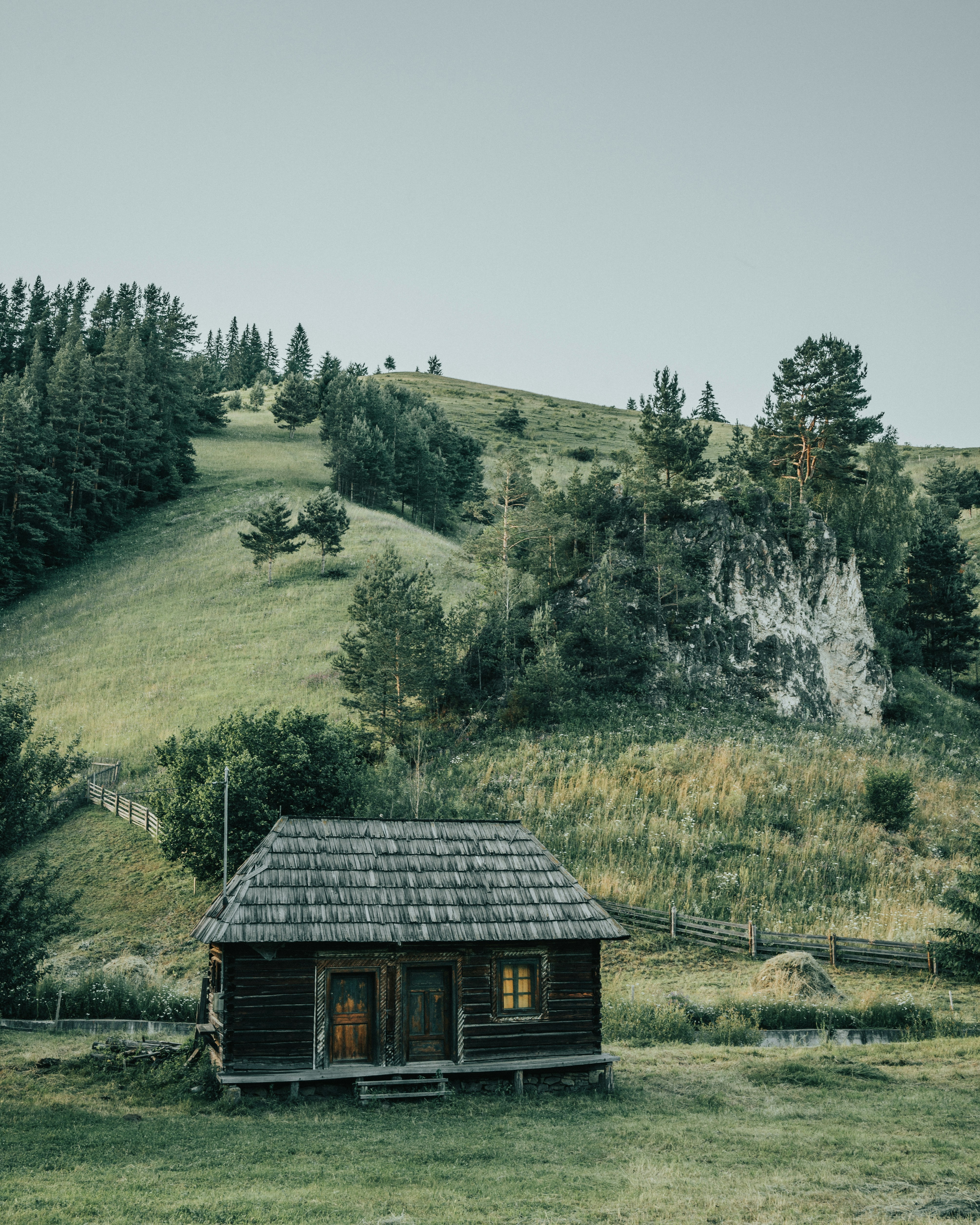 Photo by tamas_tuzeskatai