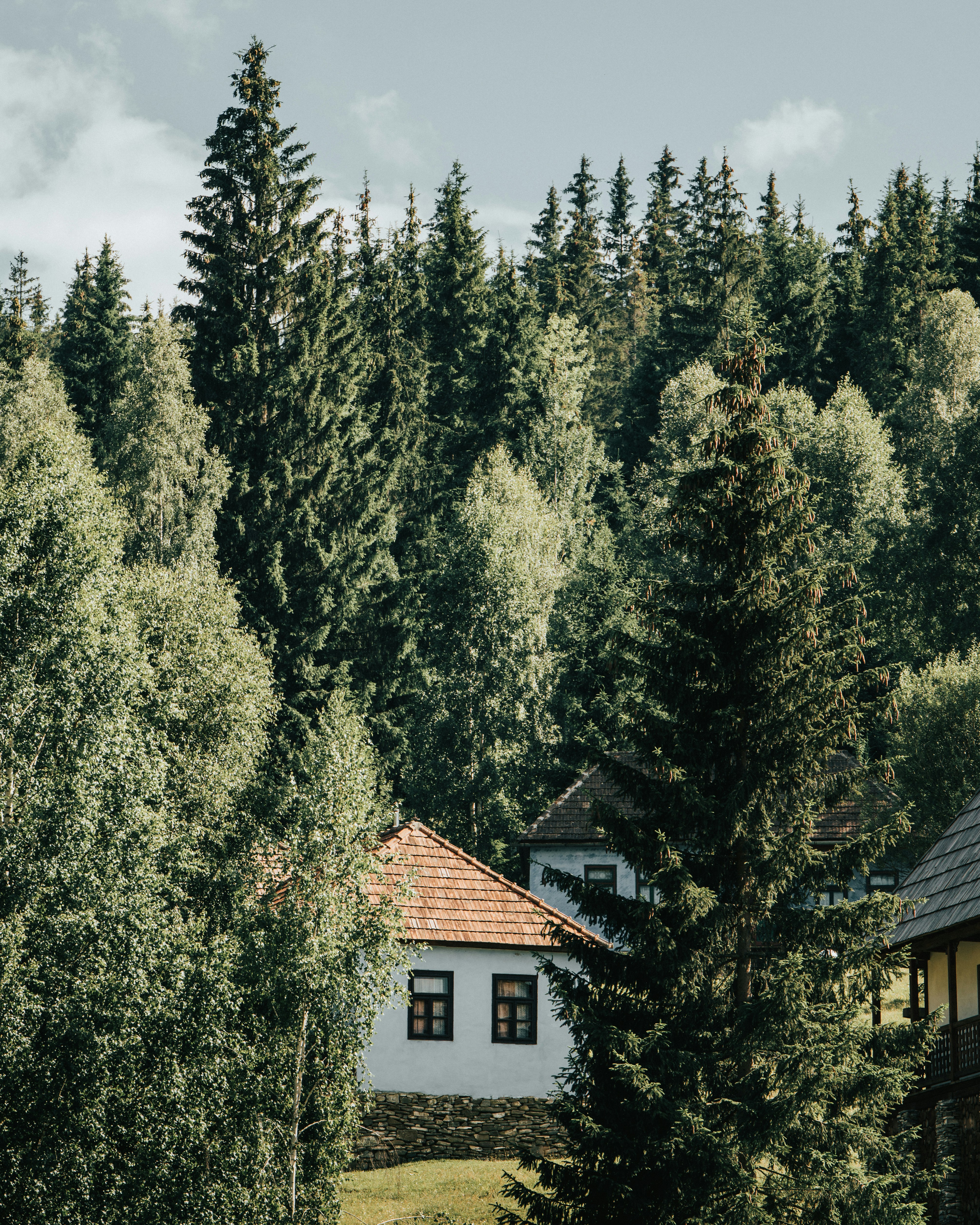 Photo by tamas_tuzeskatai