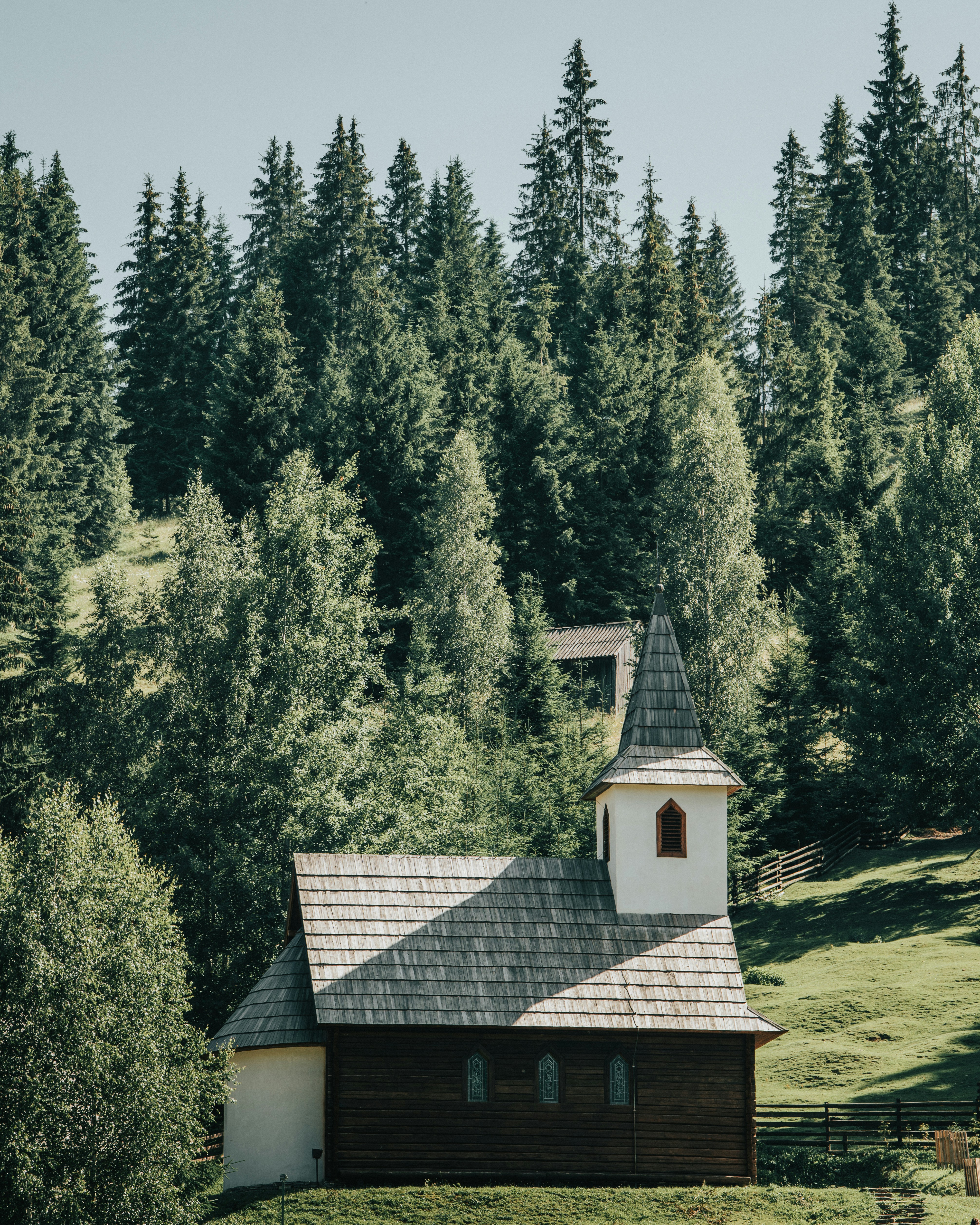 Photo by tamas_tuzeskatai