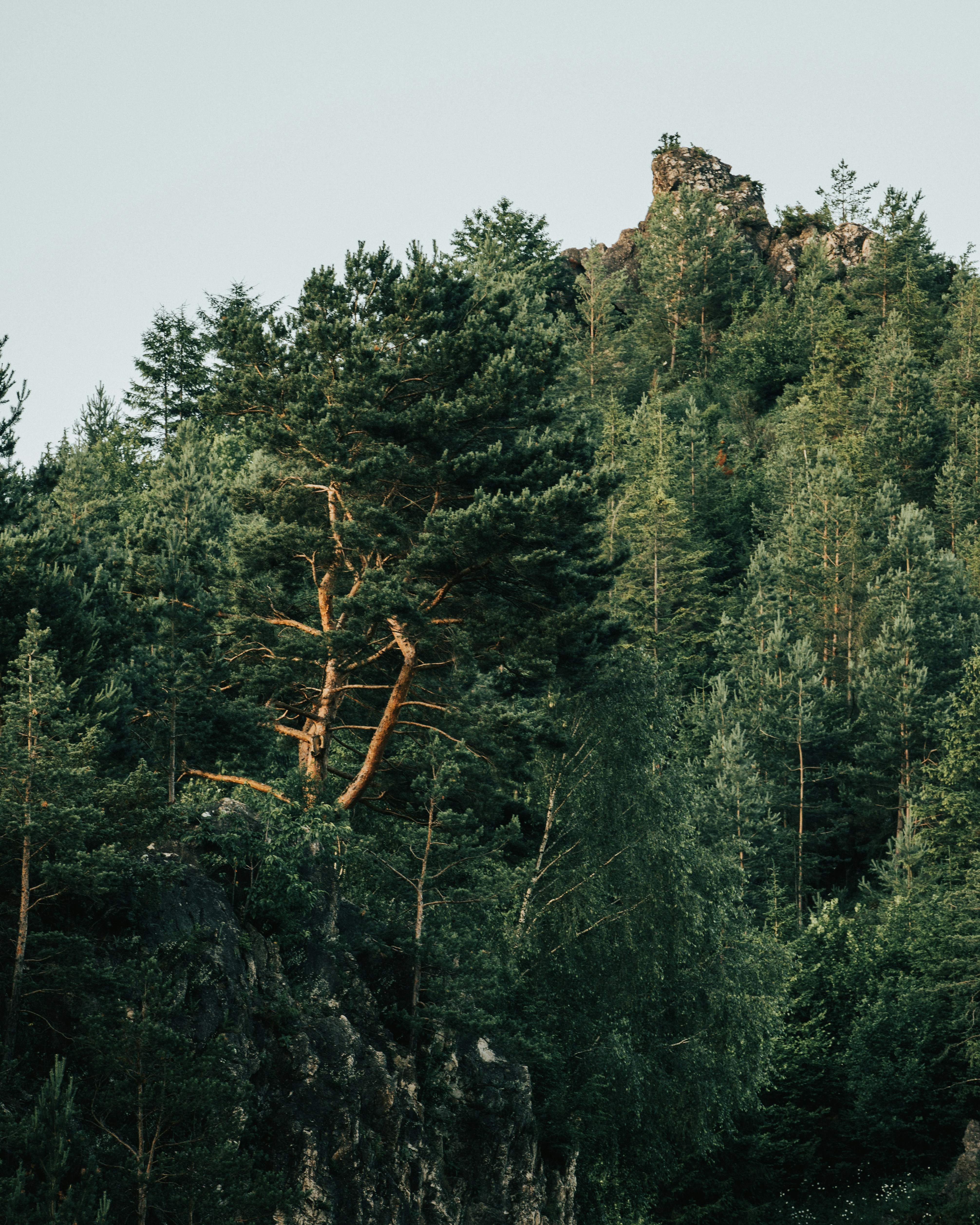 Photo by tamas_tuzeskatai