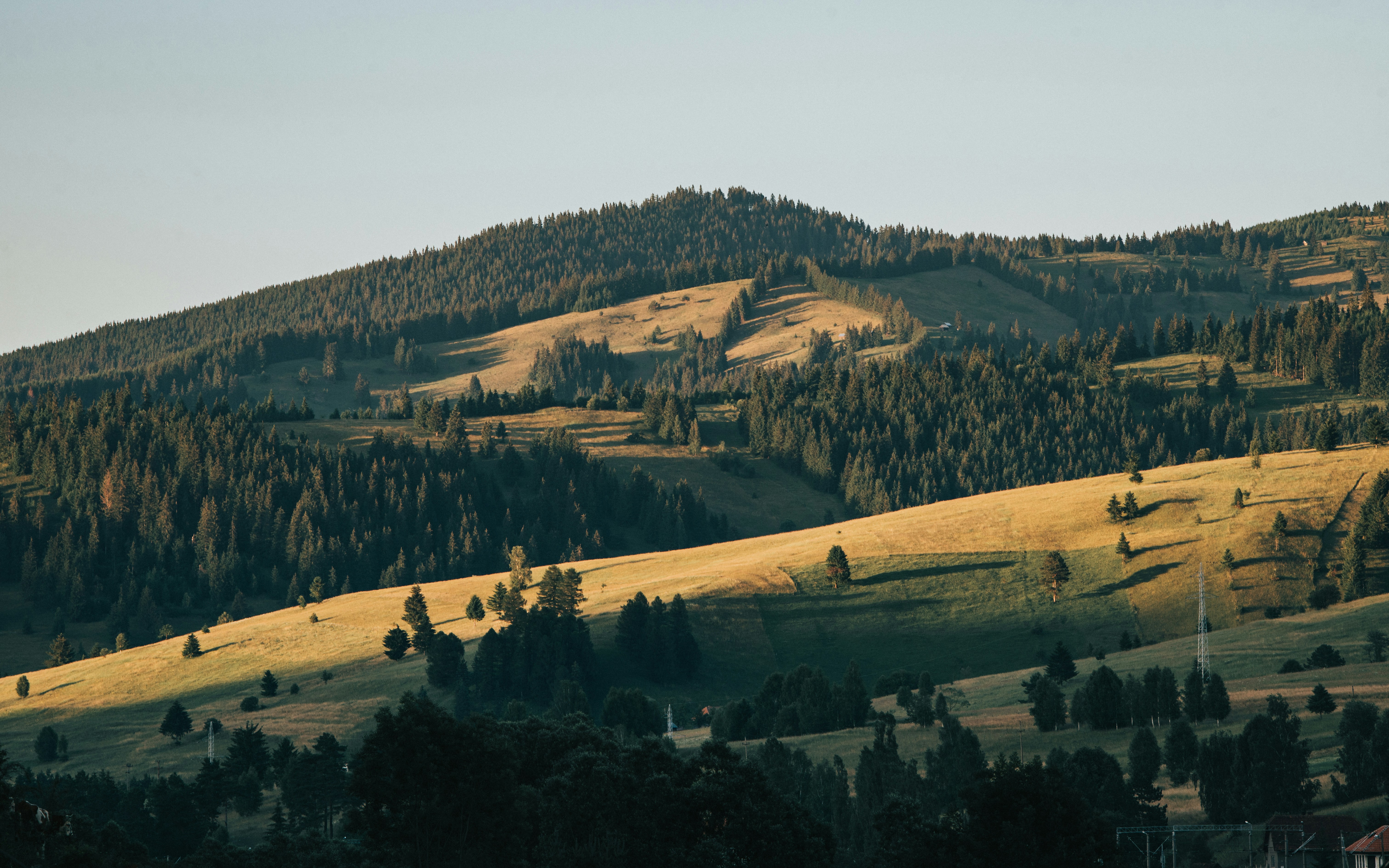 Photo by tamas_tuzeskatai