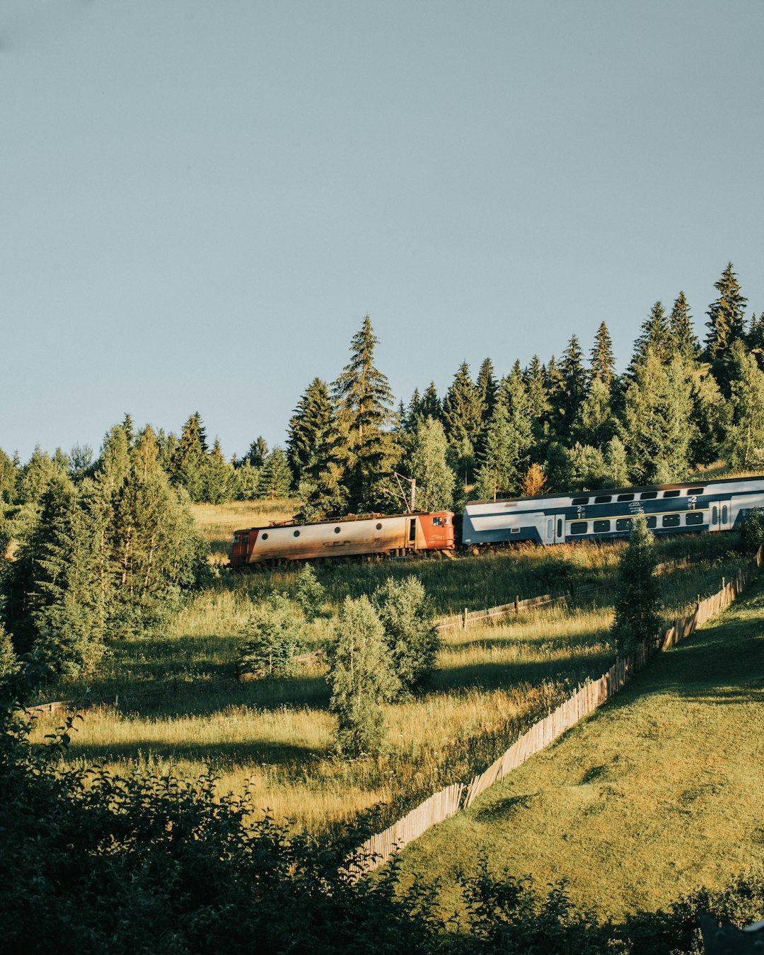 brown and white train on rail tracks near green trees during daytime