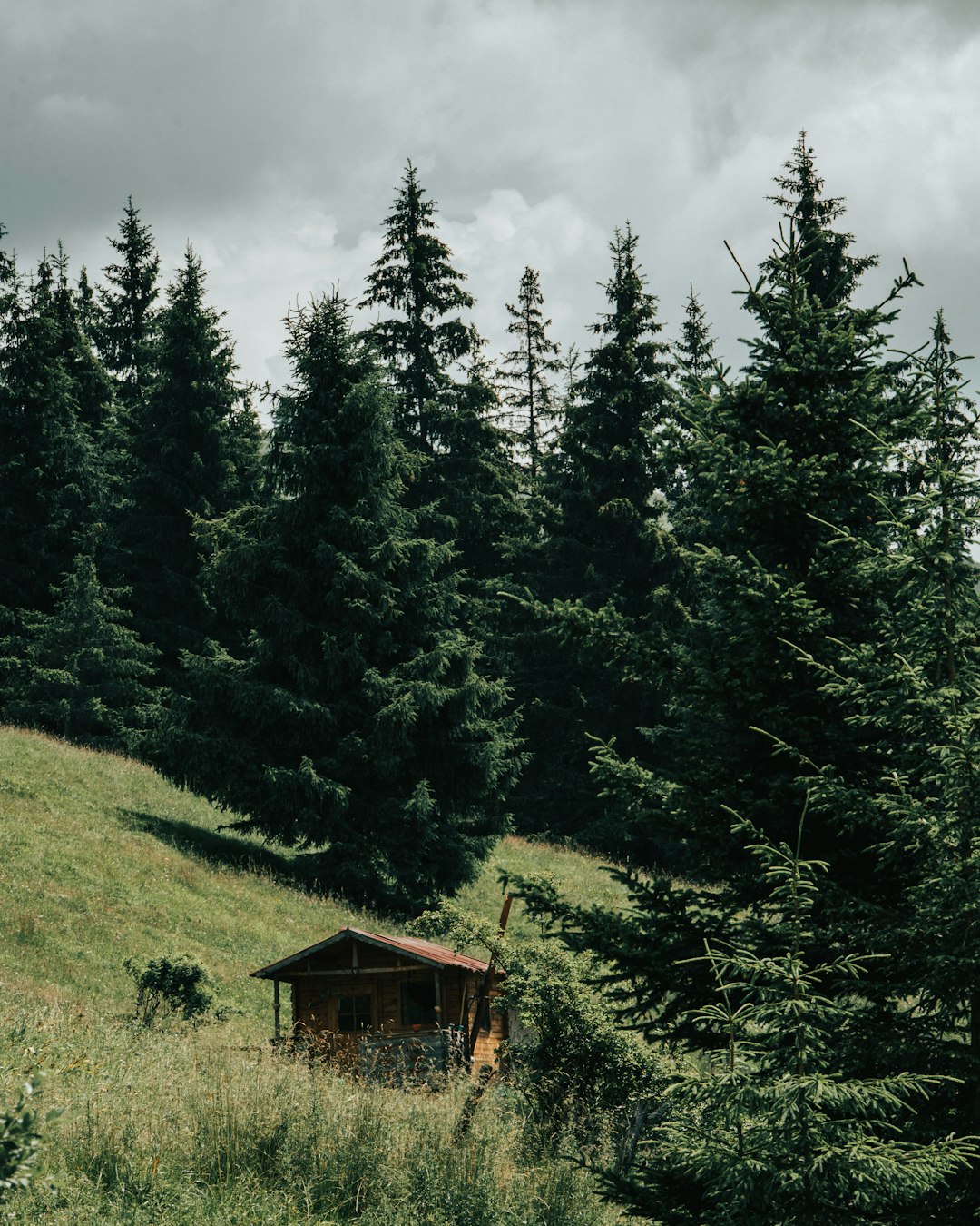 brown wooden house on green grass field near green trees under white clouds and blue sky