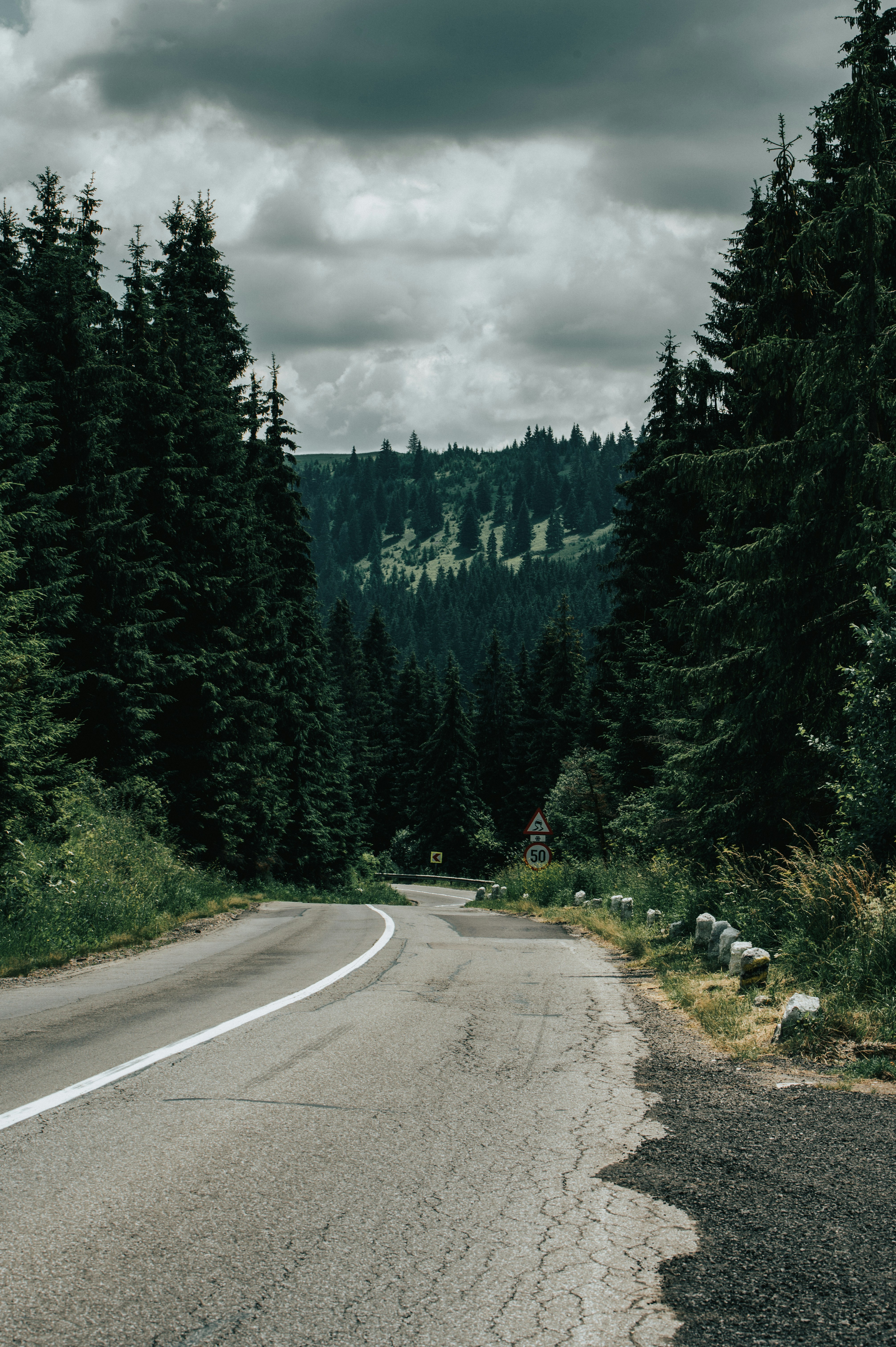 Photo by tamas_tuzeskatai