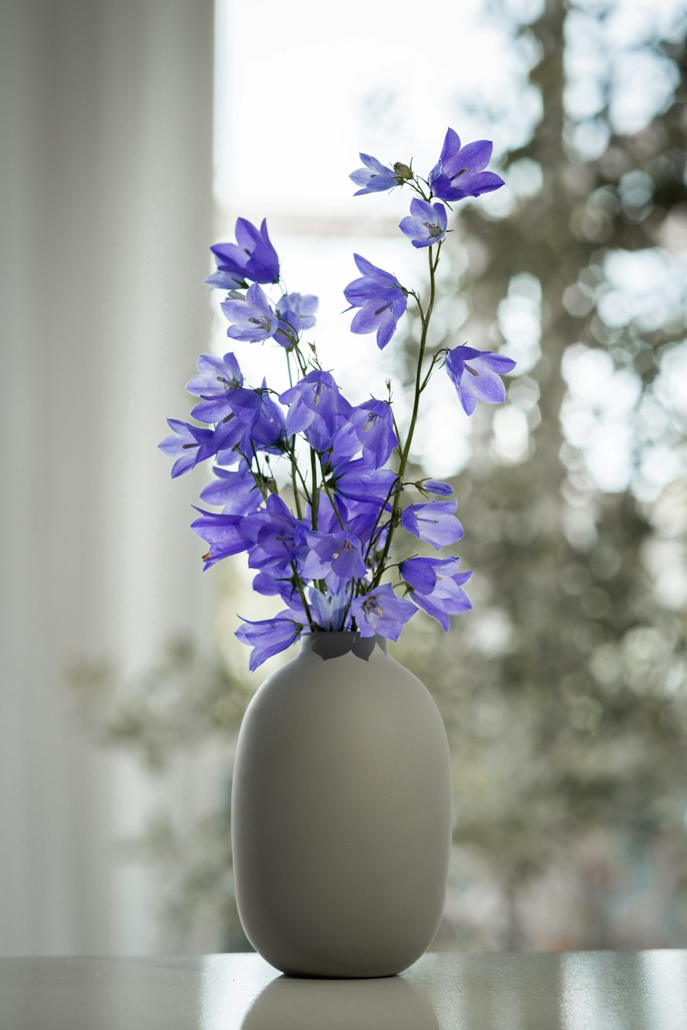 lila und weiße Blume in weißer Vase