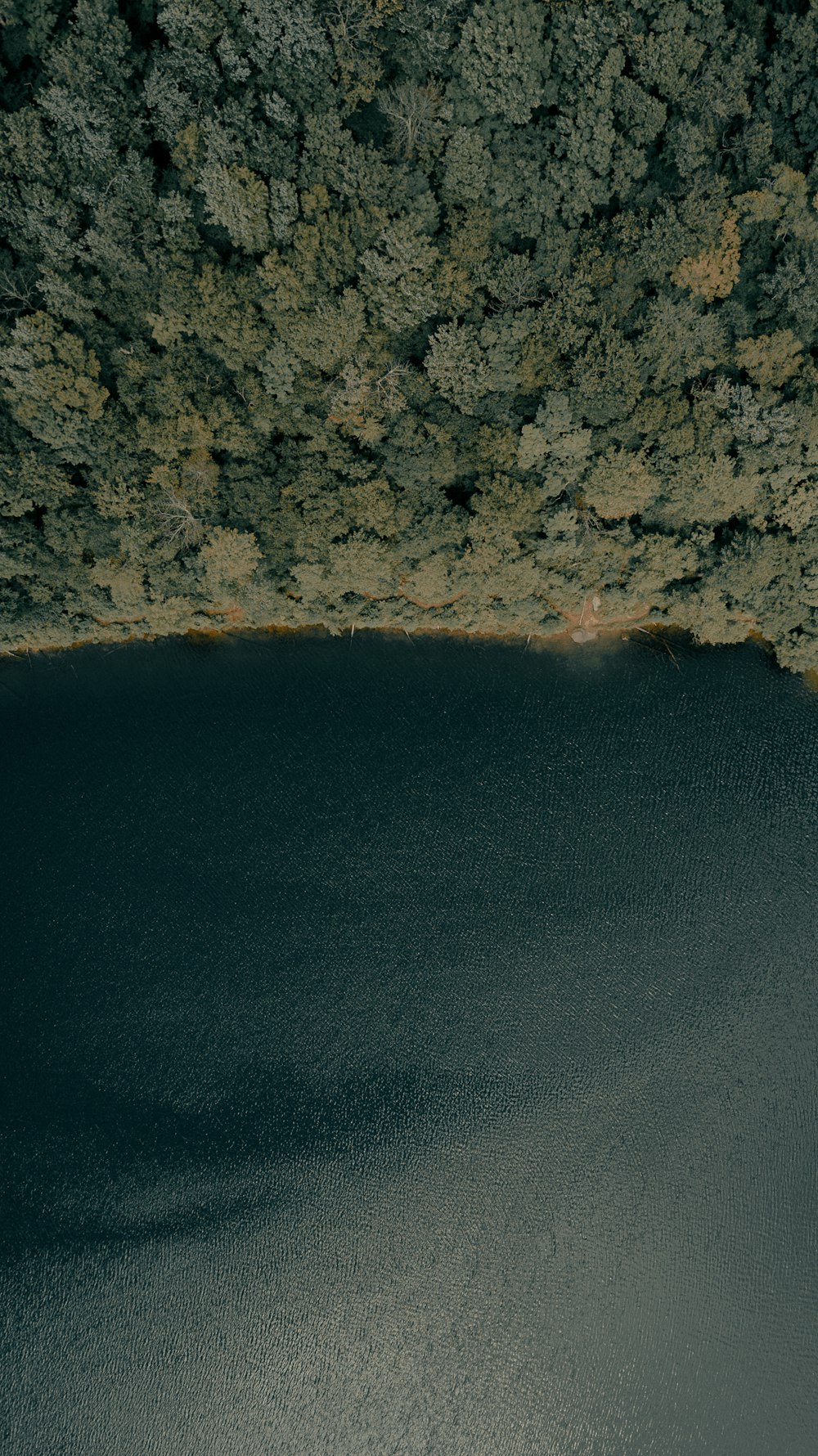 brown rocky shore during night time