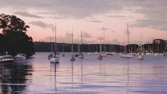 white and blue boats on sea during daytime in Potts Point Australia